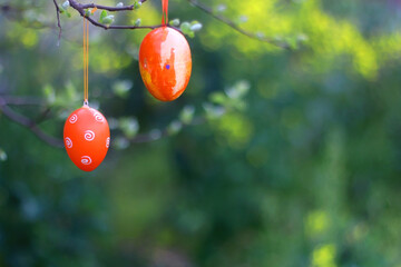 Decorative Easter egg on a tree branch in the garden. Blossom flowers in the background. Selective focus.