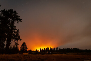Oregon mountain wildfire burning in pine forest
