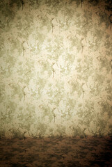 Painted canvas or muslin fabric cloth studio backdrop; dark, grunge or goth or quirky fashion background, with floor for standing models