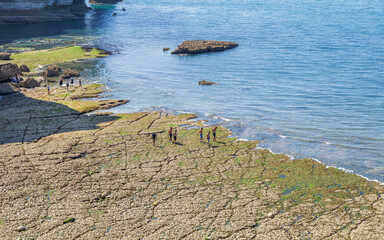 Aerial view of rocky coast of the sea in Etretat, Normandy, France. People walking along the coast.
