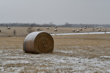 Hay Bales in a Snowy Farm Field