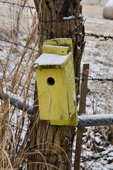 Yellow Birdhouse on a Fence Post