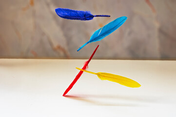 Feather, bird feather, artificial feather, painted feather falling and floating