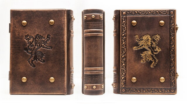 antique book with embossed lions