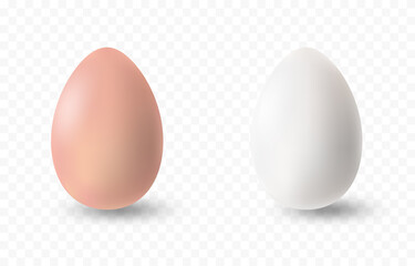 Fototapeta PNG vector eggs. Realistic white and brown egg on isolated transparent background. Easter, holiday. obraz