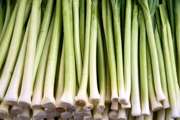 organic and fresh green leeks in the market . High quality photo