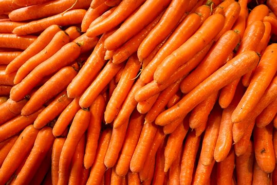 On the ground there are many carrots that have just been brought from the field. High quality photo