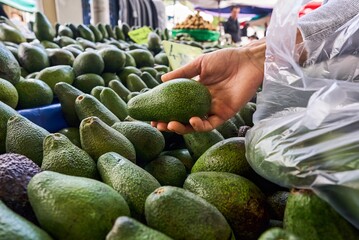 Young Woman Choosing Avocados in Grocery market. Concept of healthy food, bio, vegetarian, diet....