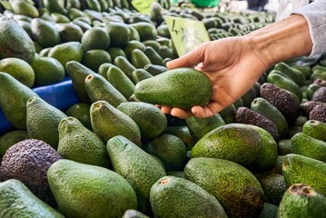 Young Woman Choosing Avocados in Grocery market. Concept of healthy food, bio, vegetarian, diet. High quality photo