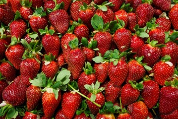 Strawberries at the market stall. High quality photo