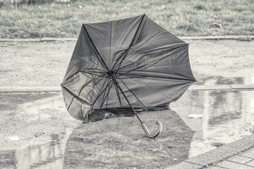 black umbrella in rain