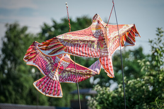 Bird repellent scarecrow in the form of a kite with the image of an eagle