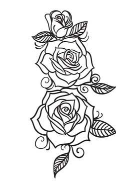 Rose sketch stock illustration. Illustration of isolated - 13390992