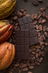Cocoa maracas. Cocoa beans. Tropical fruit. Trinidad cocoa. Chocolate bar
