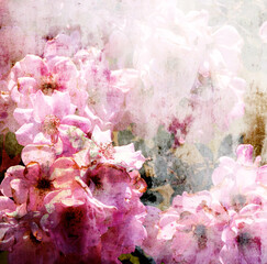 Pink Roses and Mist, Romantic Flower Composition 