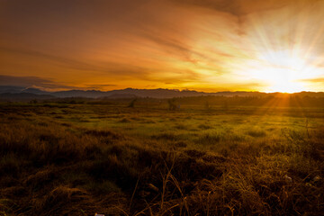 Panorama of field on bright sunset