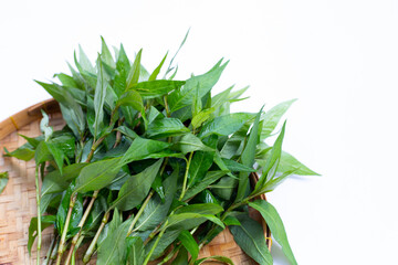 Vietnamese coriander leaves in bamboo weave plate on white background.