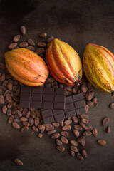 Cocoa maracas. Cocoa beans. Tropical fruit. Trinidad cocoa. Chocolate bar