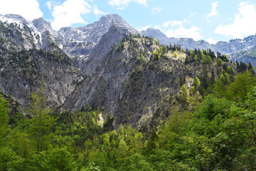 Fototapeta na wymiar Majestic mountain landscape with forest