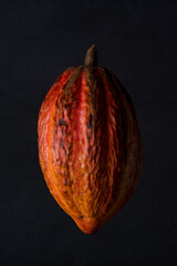 Cocoa fruit. Cocoa shake. Cocoa pod. Yellow and orange cocoa beans. Cocoa Creole.