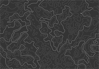 Gray topographic line contour map background, geographic grid map. Vector illustration. EPS 10.
