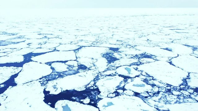 知床半島の流氷　空撮
