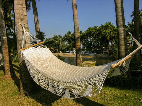 A hammock in hangs in the garden between two palm trees at a resort along the Mexican coast