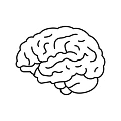 brain anatomy organ line icon vector illustration