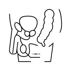 testes endocrinology line icon vector illustration