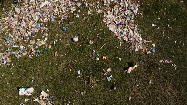 aerial top down of desolated rubbish dump waste plastic pollution in natural green meadow, abandoned countryside area with stray dog running away