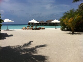 Maldives sand beach 몰디브 해변