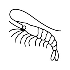 white leg shrimp line icon vector illustration