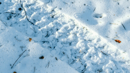 Traces of an ATV in the snow on a sunny day in the forest.