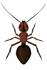 Ant on a white background. Vector illustration