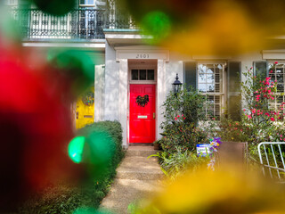 Mardi gras tree decorations - new orleans (garden district)