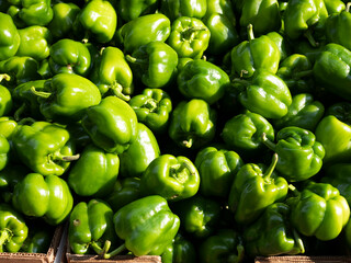 Obraz na płótnie Canvas Group of green pepper bell for sell in fresh market