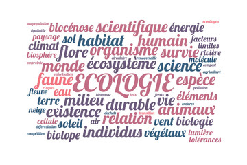 Obraz premium Illustration Ecologie en nuage de mots avec un fond transparent