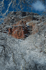 Snowbound Sedona Arizona USA