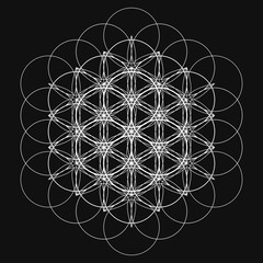 Fototapeta premium モノトーン幾何学模様 シンプルな曼荼羅模様