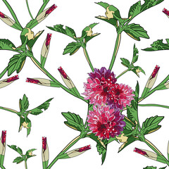 Pink dahlia flowers, buds and green leaves on a white background. Floral seamless pattern.