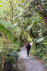 walking in the woods