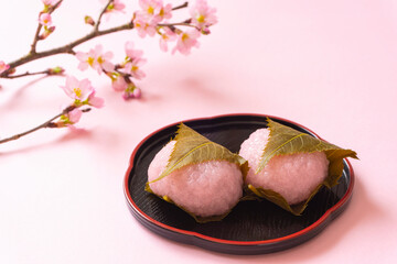 Sakura mochi and Cherry Blossoms. Japanese sweets to eat in spring. 桜餅と桜の花。春に食べる日本の和菓子