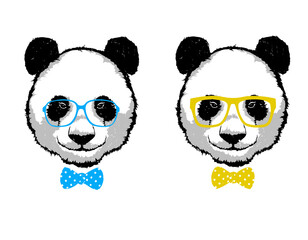 Two hipster panda bear in the glasses