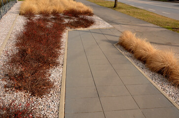 concrete staircase with stainless steel polished tubular railing. cobblestones cobblestones concrete. colorful bushes of red color and dry grass in tufts on the street square