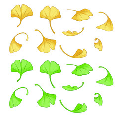 Ginkgo vector set