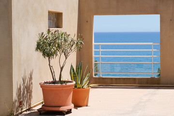 Nice view from the terrace of luxury villa house with sea coast blue and pot of mimosas and cactus like a frame