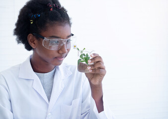 African girl scientists looking plant in beaker. Science and education, researcher and discovery concept.