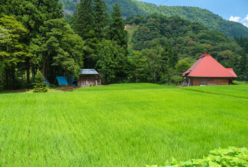 Fototapeta na wymiar 秋山郷の農家