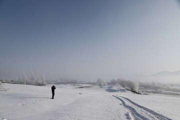woman walking among frozen trees on snow-covered plain.kars