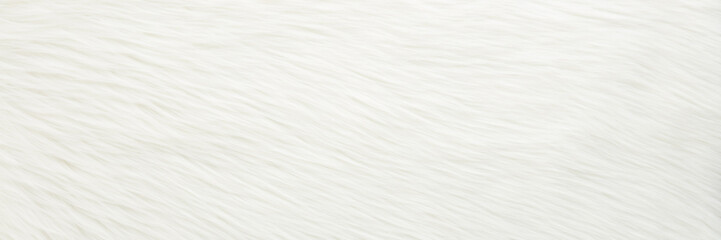 Fototapeta premium Light white smooth fur background. Empty place for text. Wide banner. Top down view.